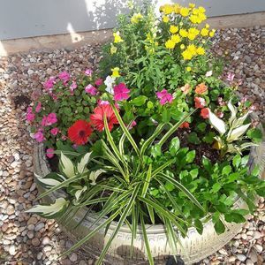 Meet your Posher, Julia